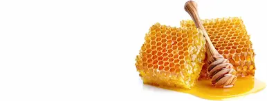 Doğal Bal - Saf ve Organik, Kahvaltılık Lezzetler